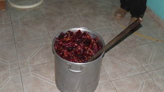 Chiles are in a bucket, waiting to be 